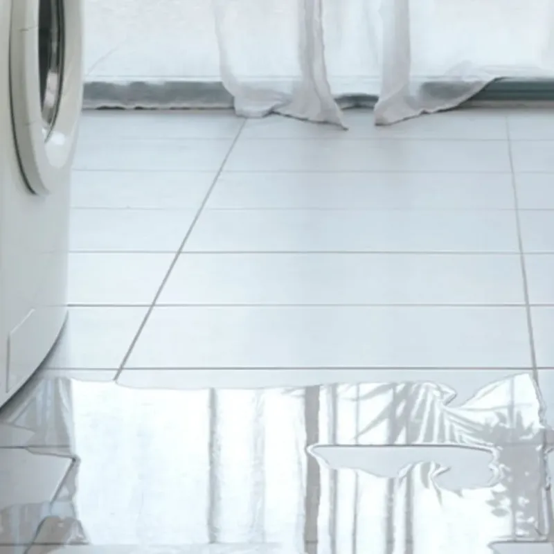 Appliance Leak Cleanup in Lazy Mountain, AK