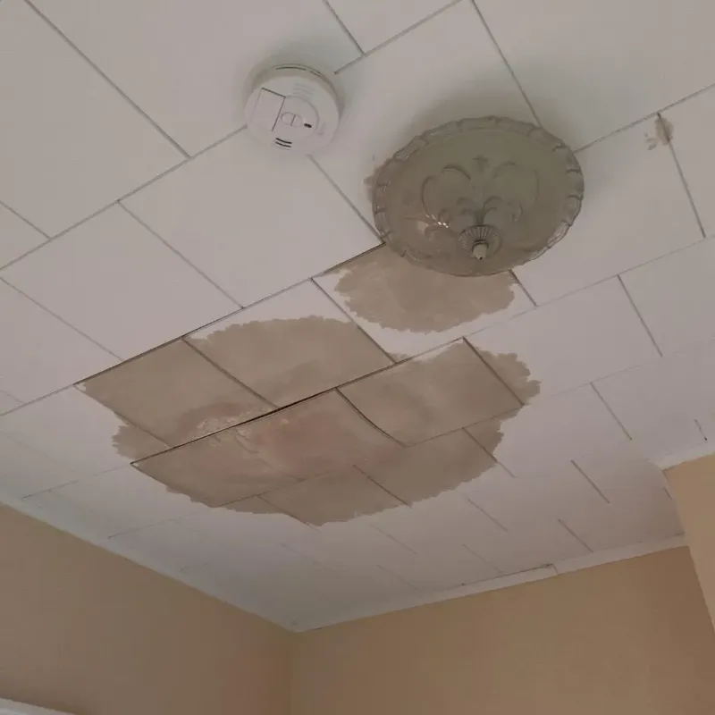 Ceiling Water Damage Repair in Lazy Mountain, AK