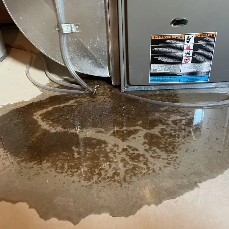 Pipe Burst and Leak Restoration in Lazy Mountain, AK